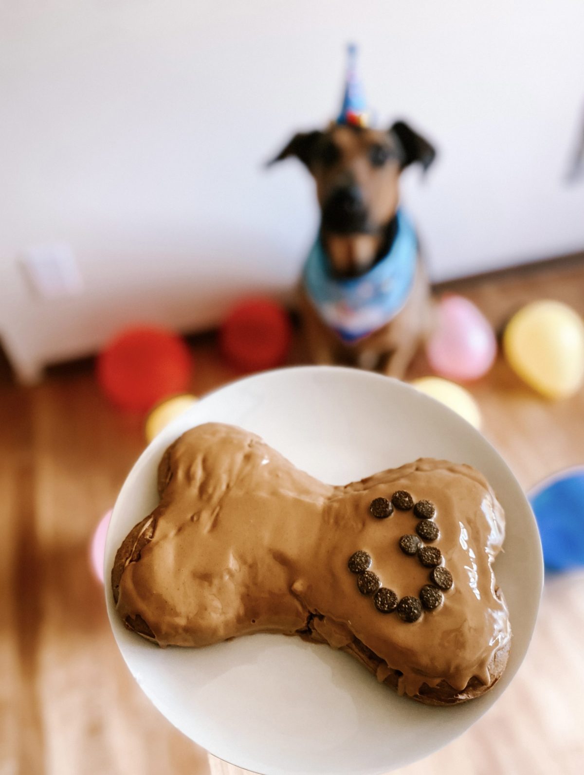 klark-s-dog-friendly-birthday-cake