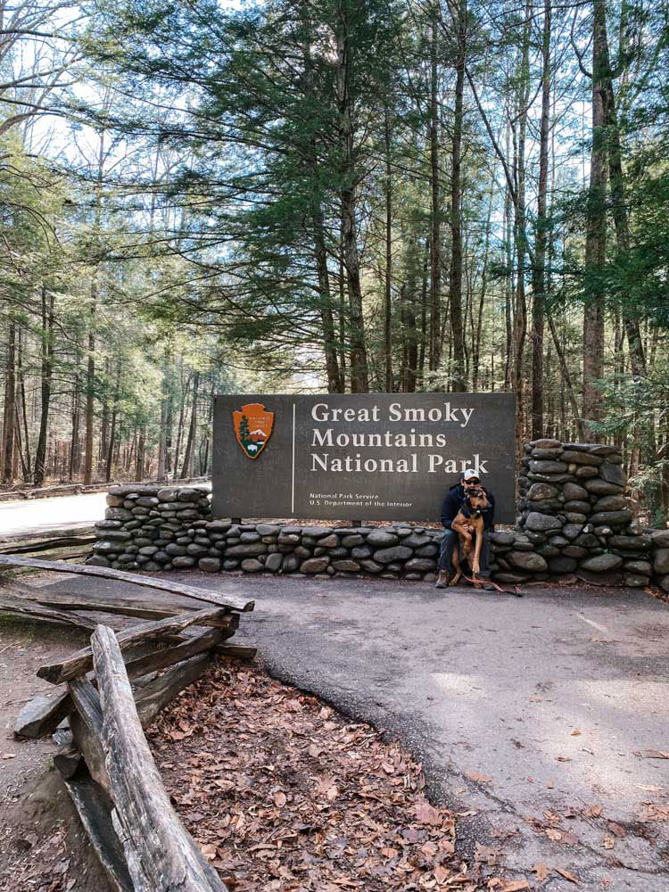 Great Smoky Mountains - things to do, places to eat, and hikes to walk!