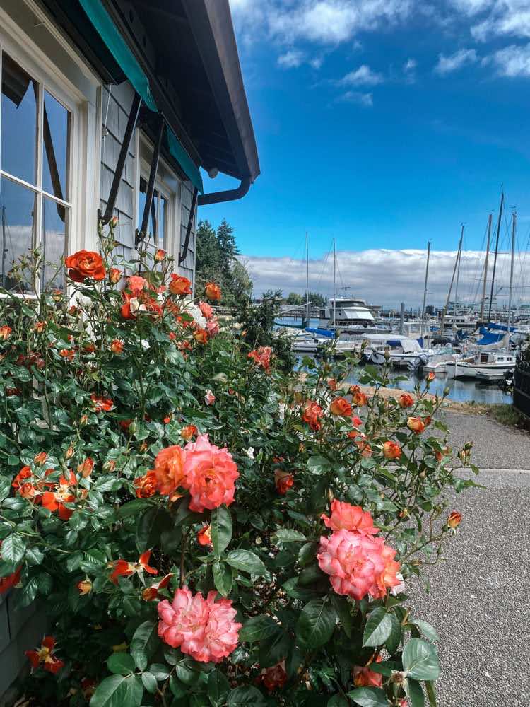 Day trip to Bainbridge and Poulsbo Island, Washington.