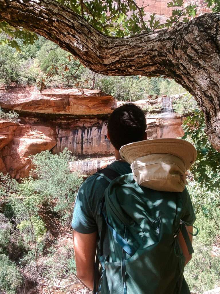 The 5 best hikes in Capitol Reef National Park.