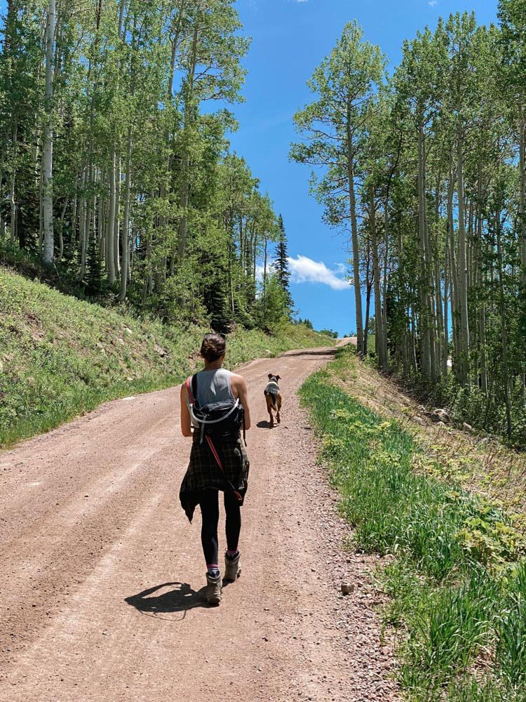 How I'm training to hike my first 14er.